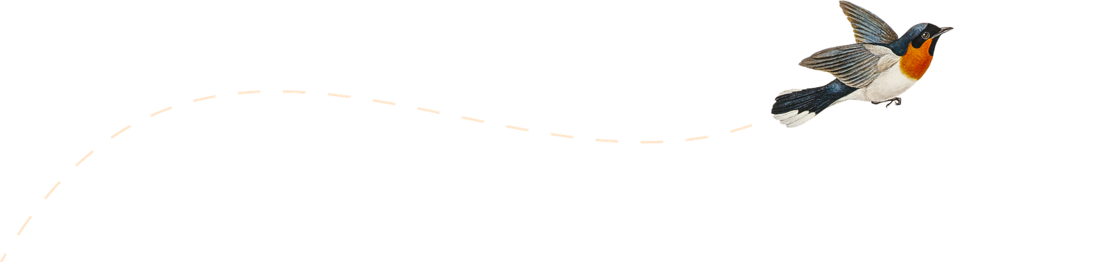 Repülő madarat ábrázoló illusztráció.